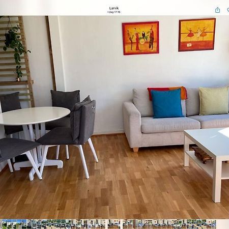 Lys Og Trivelig Leilighet I Larvik Dış mekan fotoğraf